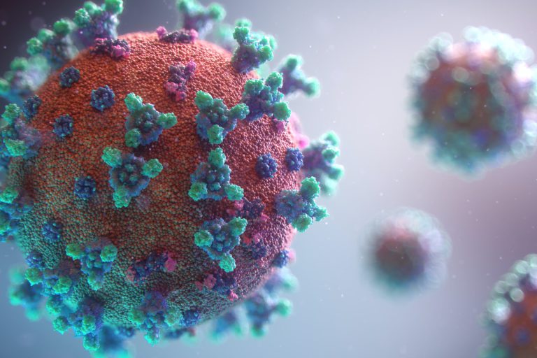 fusion-medical-animation-rnr8D3FNUNY-unsplash(1)